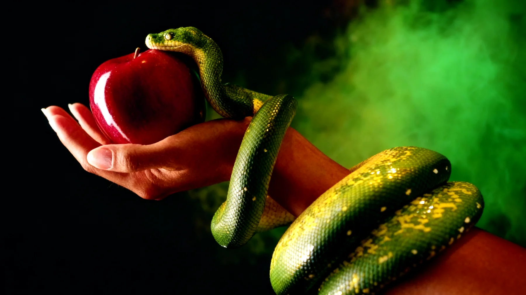 Forbidden Fruit2025-12-29T12:55:54.431Z"