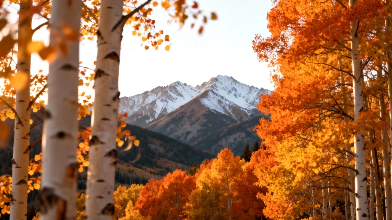 Aspen"