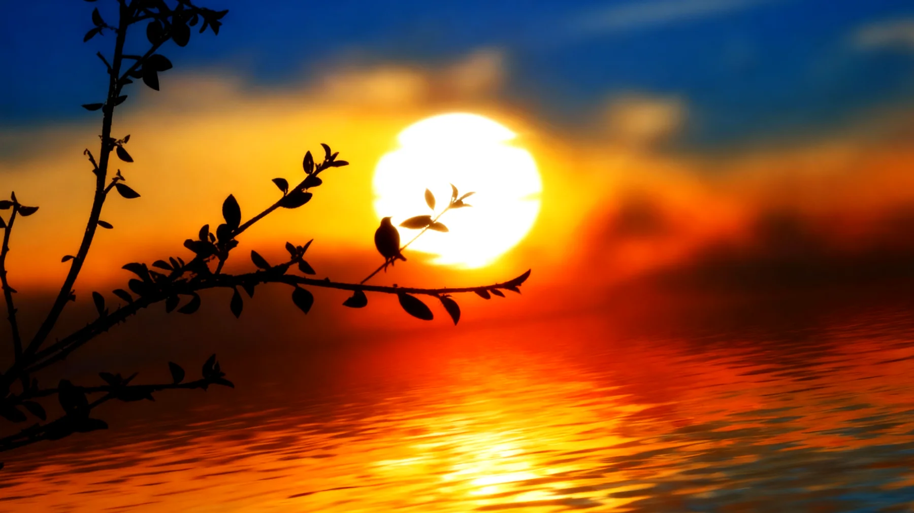 Beautiful 2026-01-04T12:34:29.043Z"