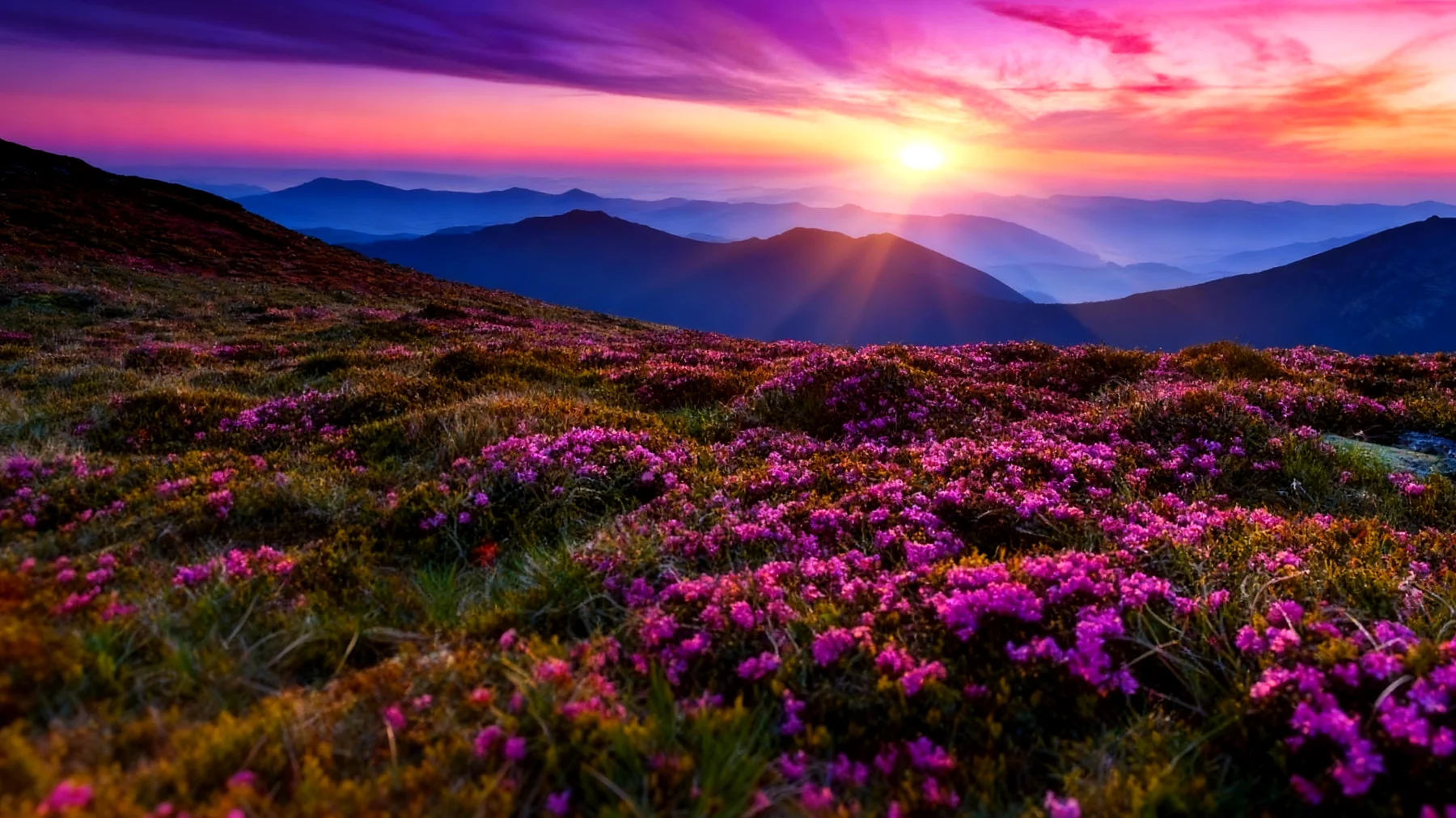 Beautiful 2026-01-14T12:35:40.030Z"