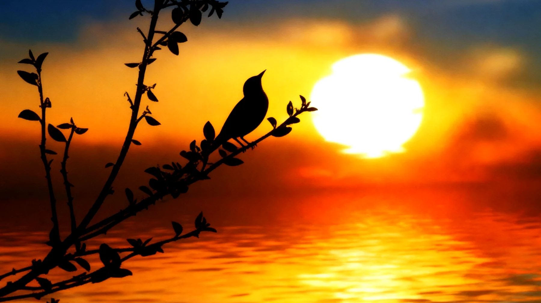 Beautiful 2026-01-25T10:33:27.843Z"