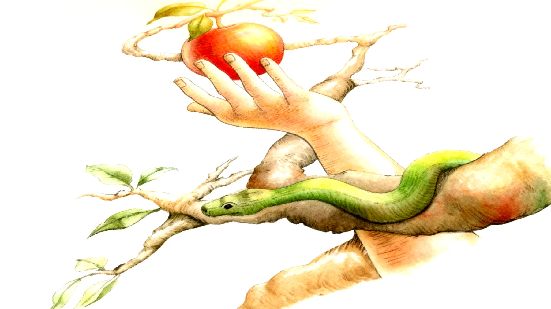 Forbidden Fruit2026-01-01T12:55:17.878Z"