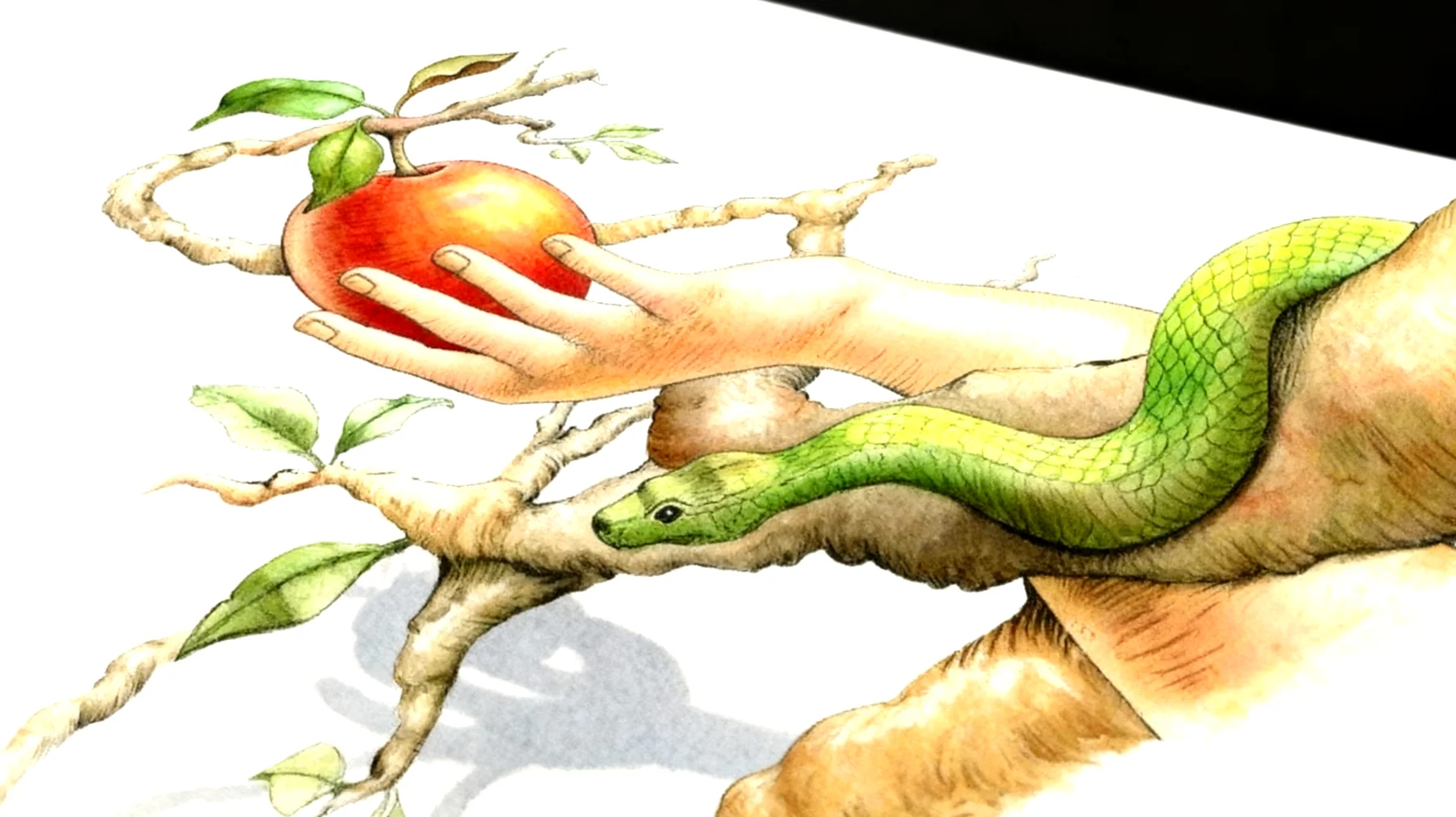 Forbidden Fruit2026-01-02T12:51:14.894Z"