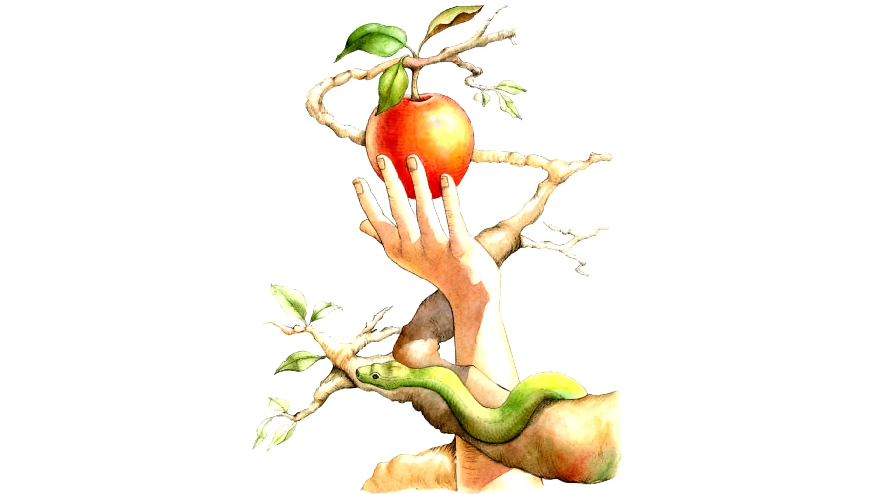 Forbidden Fruit2026-01-03T12:55:39.962Z"