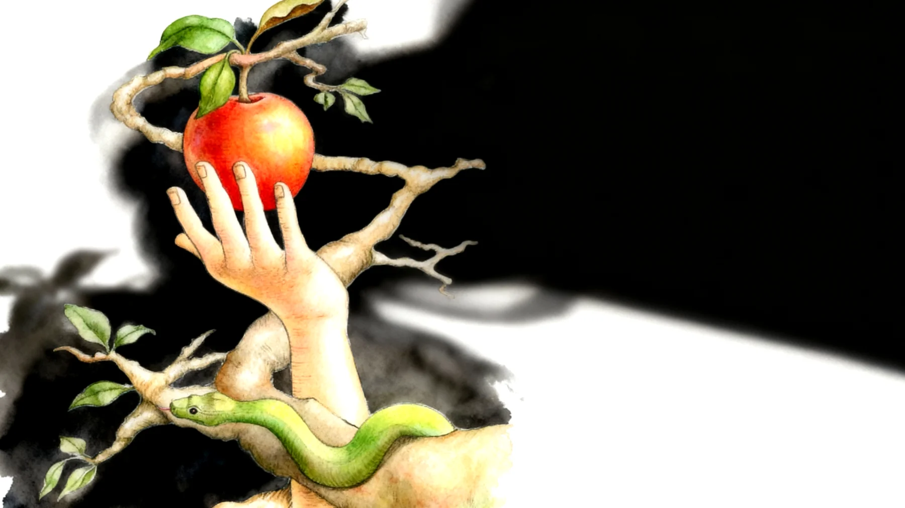Forbidden Fruit2026-01-12T13:00:36.528Z"