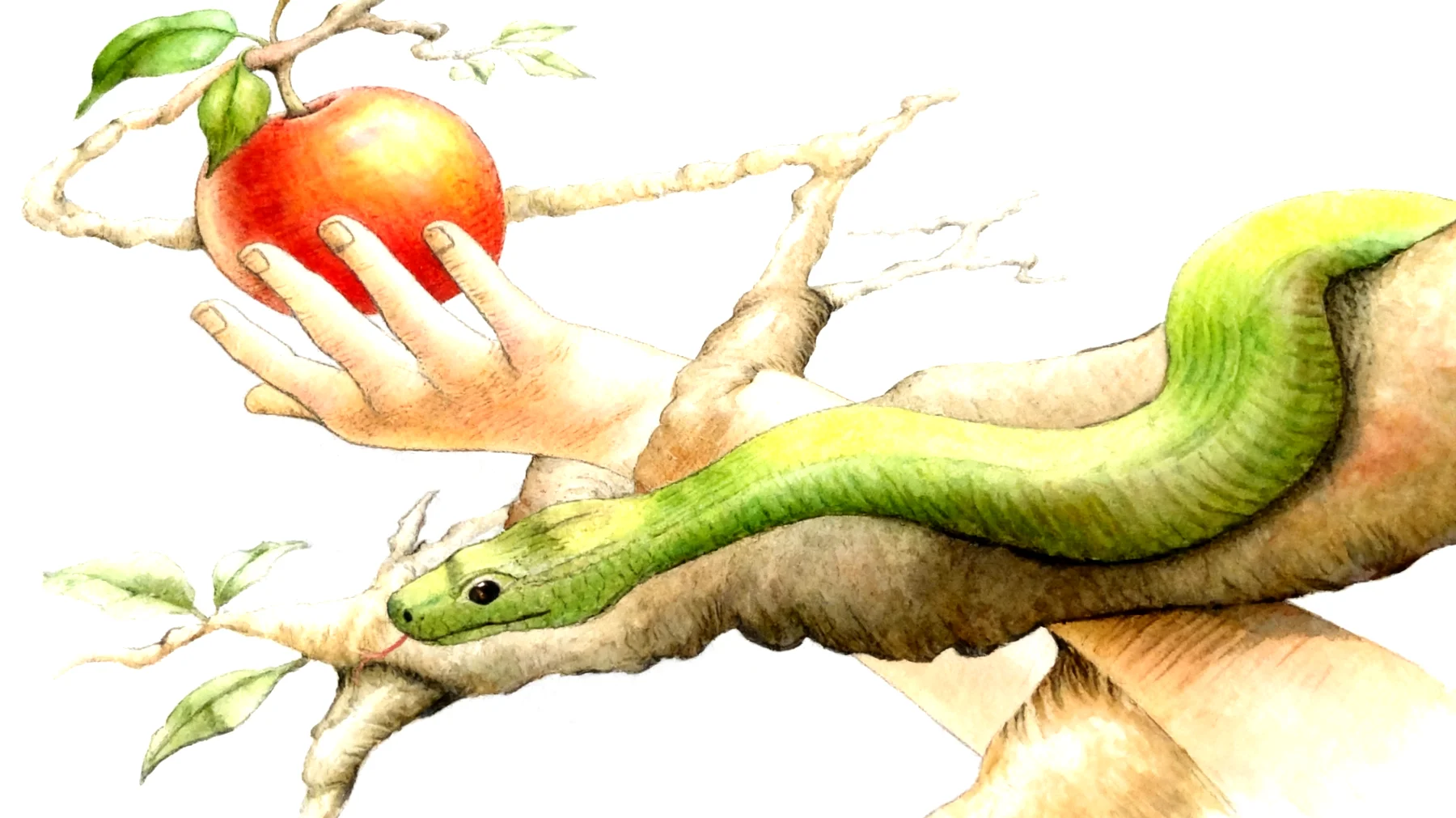 Forbidden Fruit2026-01-16T12:51:10.136Z"